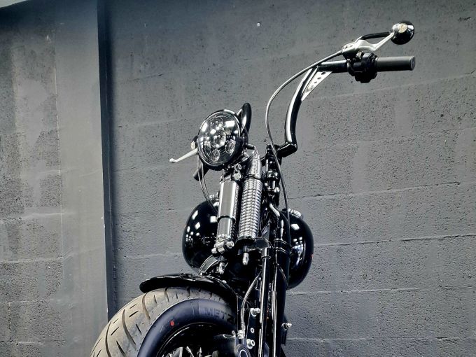 HARLEY-DAVIDSON SOFTAIL SPRINGER 1584 CROSS BONES 4