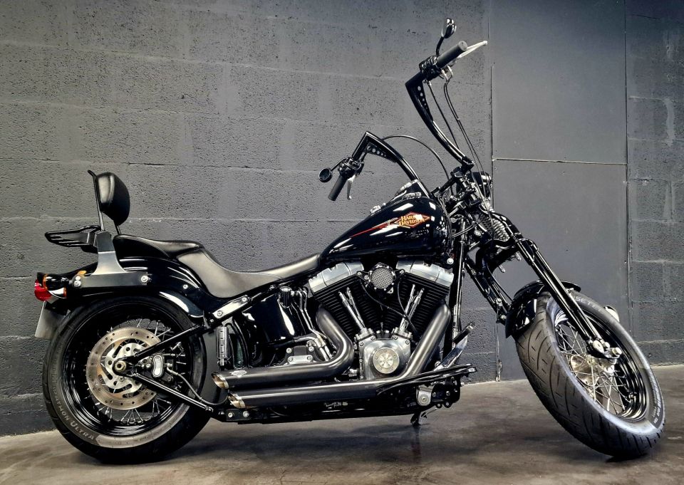 HARLEY-DAVIDSON SOFTAIL SPRINGER 1584 CROSS BONES 4
