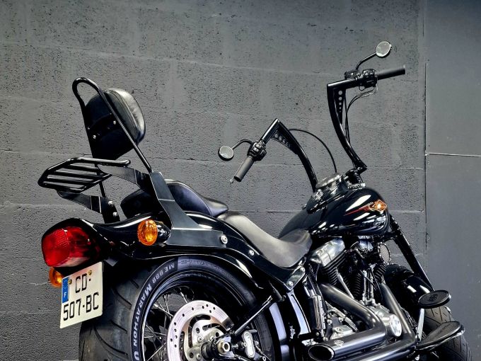 HARLEY-DAVIDSON SOFTAIL SPRINGER 1584 CROSS BONES 4