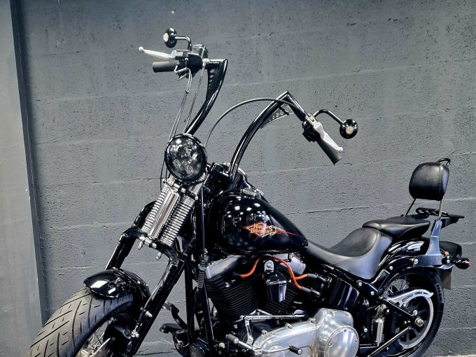 HARLEY-DAVIDSON SOFTAIL SPRINGER 1584 CROSS BONES 4