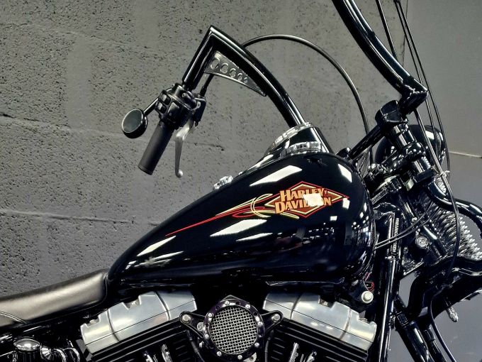 HARLEY-DAVIDSON SOFTAIL SPRINGER 1584 CROSS BONES 4