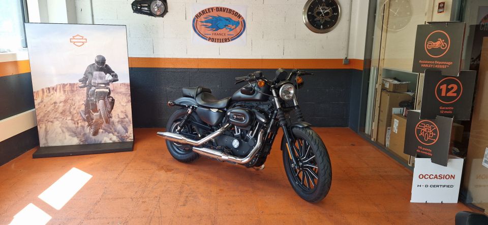 HARLEY-DAVIDSON SPORTSTER IRON 883 4