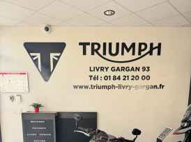 TRIUMPH SPEED TWIN 1200 - 2019