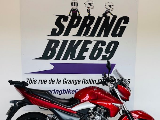 SUZUKI GW 250 INAZUMA 4