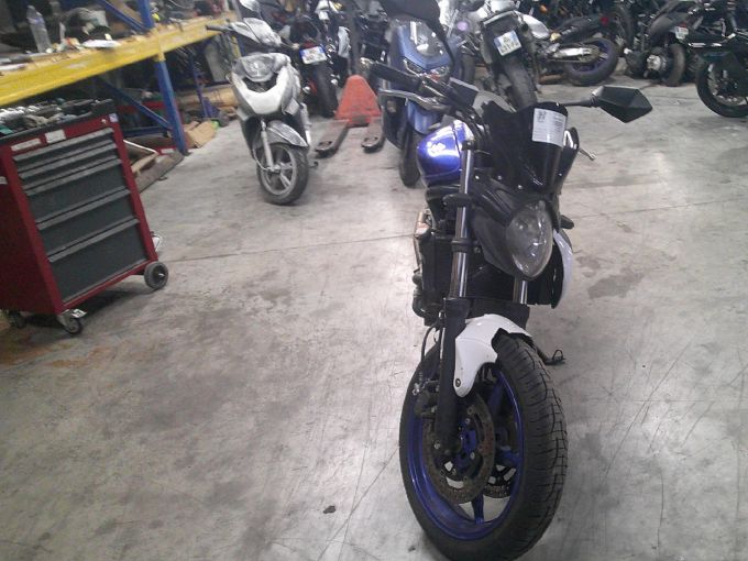 SUZUKI GLADIUS 650 4