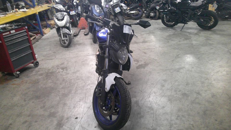 SUZUKI GLADIUS 650 4