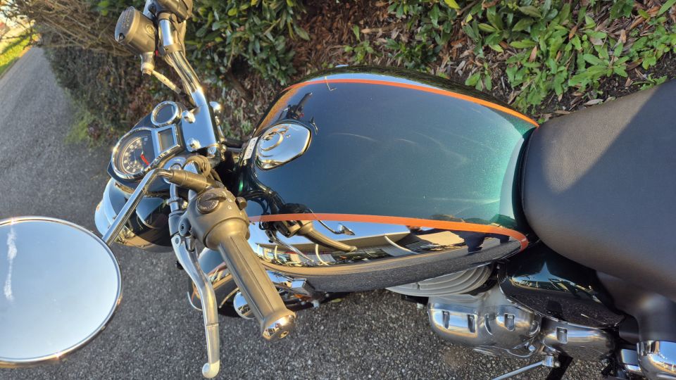 ROYAL ENFIELD CLASSIC 350 CHROME 4