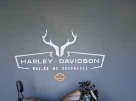 HARLEY-DAVIDSON SPORTSTER FORTY-EIGHT 1200 - 2020