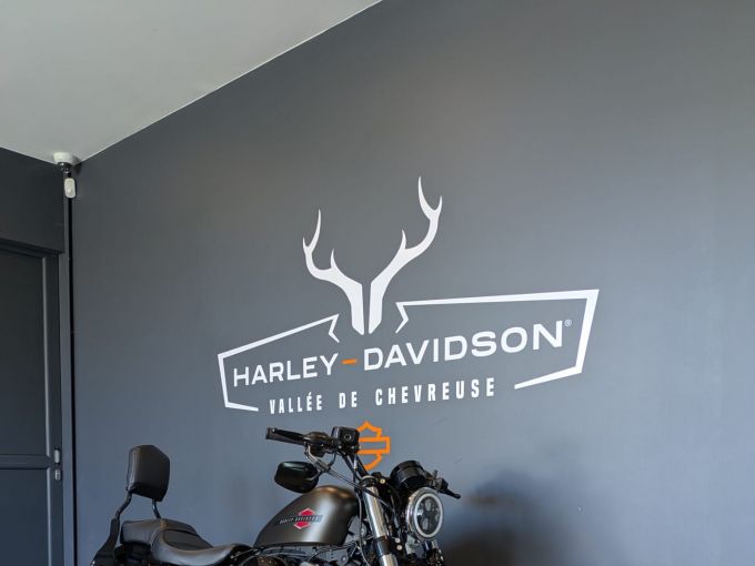 HARLEY-DAVIDSON SPORTSTER FORTY-EIGHT 1200 4