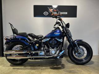 HARLEY-DAVIDSON SOFTAIL SPRINGER 1584 CROSS BONES - 2010