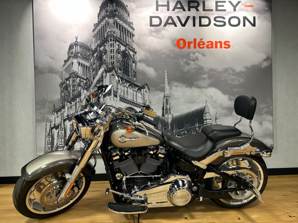 HARLEY-DAVIDSON SOFTAIL FAT BOY 1868 4