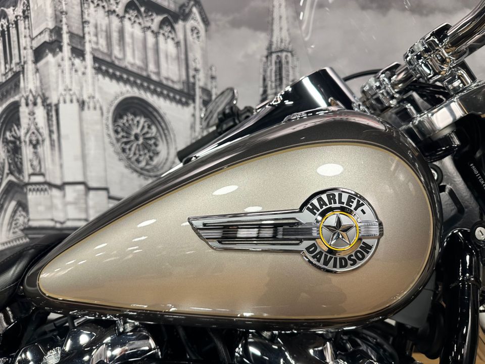 HARLEY-DAVIDSON SOFTAIL FAT BOY 1868 4