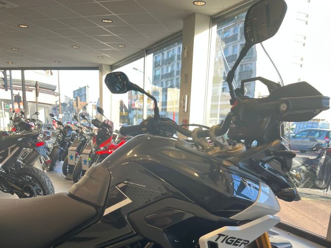 TRIUMPH TIGER 900 RALLY PRO 4