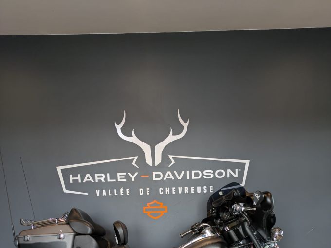 HARLEY-DAVIDSON TOURING ELECTRA GLIDE 1690 ULTRA LIMITED 4