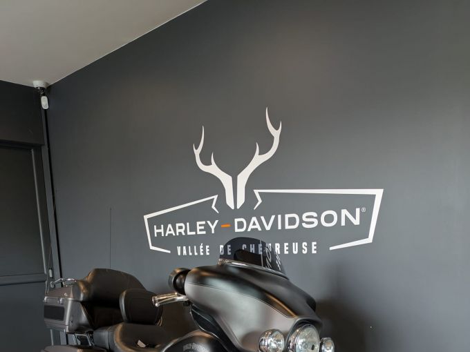HARLEY-DAVIDSON TOURING ELECTRA GLIDE 1690 ULTRA LIMITED 4