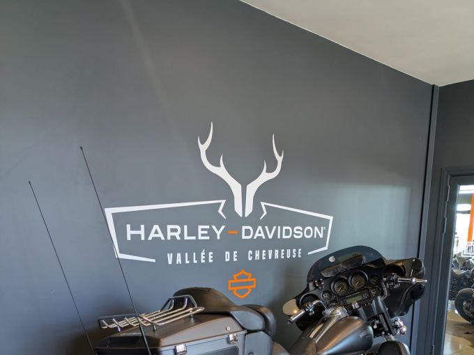 HARLEY-DAVIDSON TOURING ELECTRA GLIDE 1690 ULTRA LIMITED 4