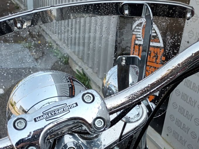 HARLEY-DAVIDSON SOFTAIL DELUXE 1745 4