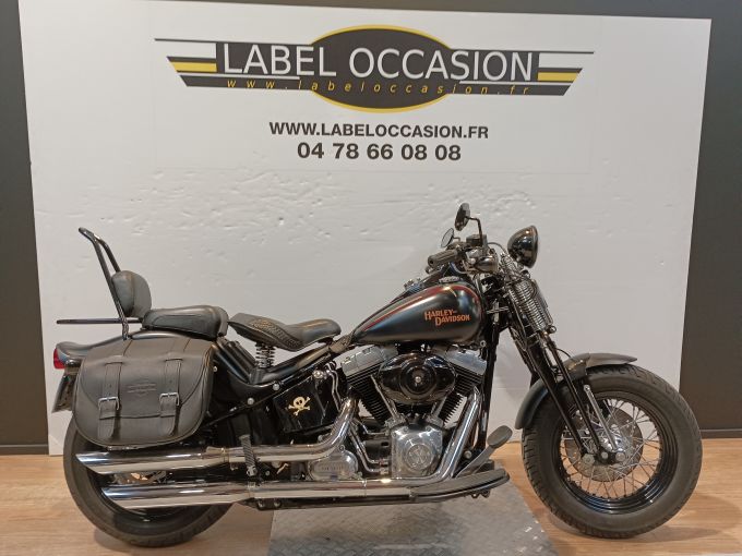 HARLEY-DAVIDSON SOFTAIL CROSS BONES 4