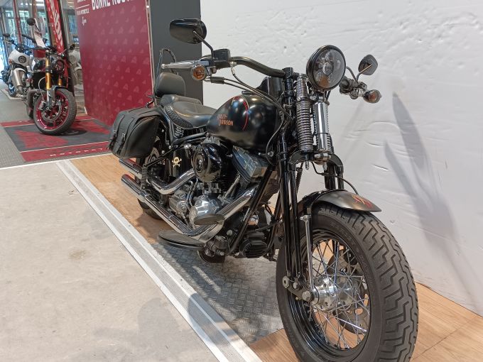 HARLEY-DAVIDSON SOFTAIL CROSS BONES 4