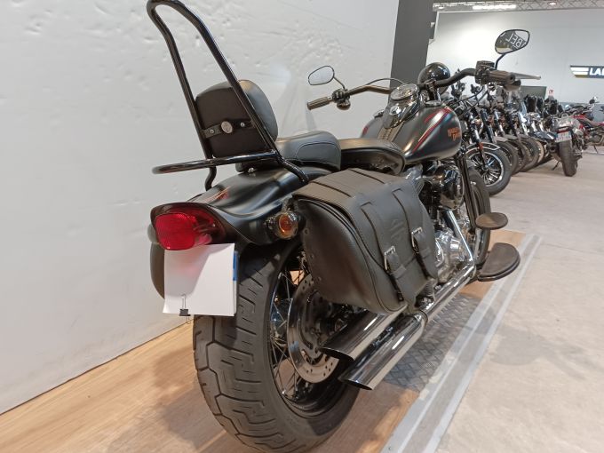 HARLEY-DAVIDSON SOFTAIL CROSS BONES 4