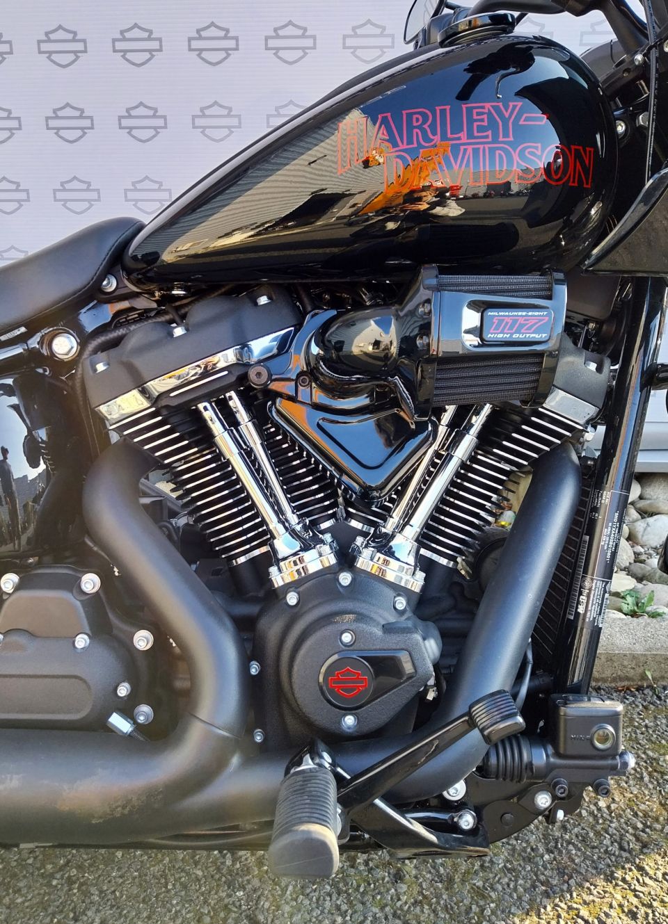 HARLEY-DAVIDSON SOFTAIL LOW RIDER 1923 ST 4