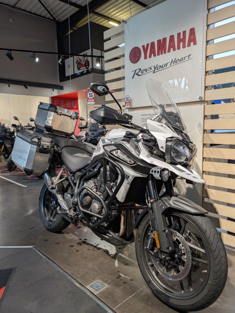 TRIUMPH TIGER 1200 ALPINE EDITION 4