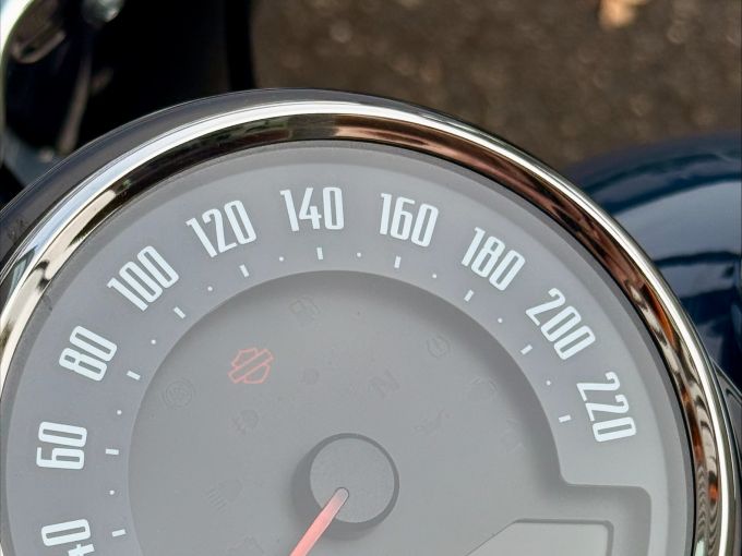 HARLEY-DAVIDSON SOFTAIL SLIM 1745 4