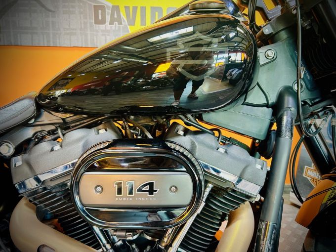 HARLEY-DAVIDSON SOFTAIL FAT BOB 1868 4