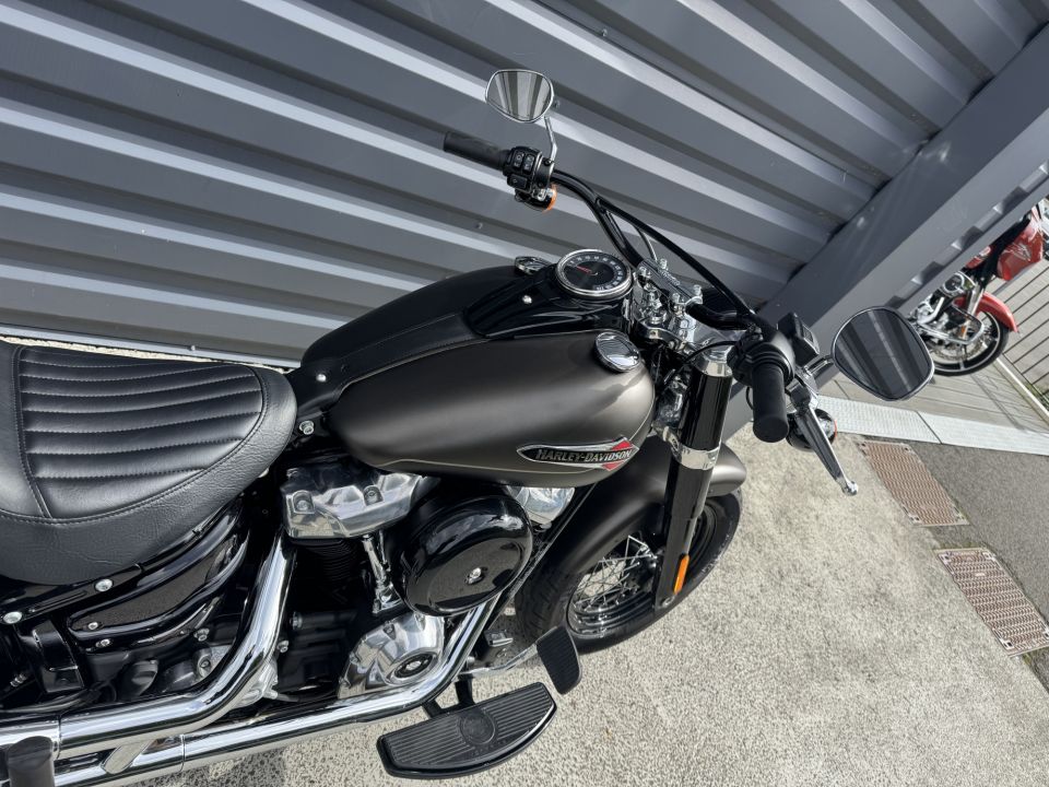 HARLEY-DAVIDSON SOFTAIL SLIM 1745 4