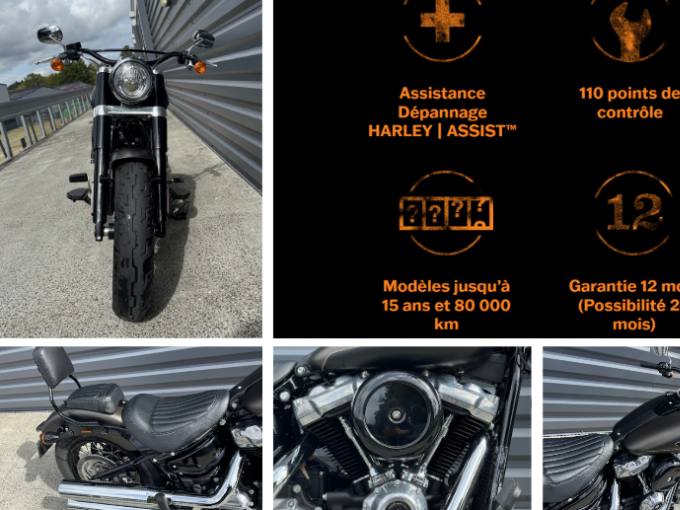 HARLEY-DAVIDSON SOFTAIL SLIM 1745 4