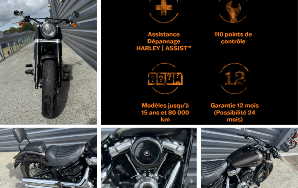 HARLEY-DAVIDSON SOFTAIL SLIM 1745 4