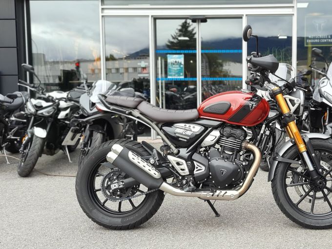 TRIUMPH Scrambler 400 X 4