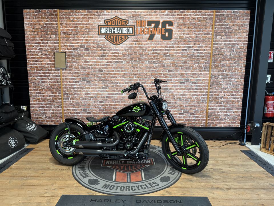 HARLEY-DAVIDSON SOFTAIL STANDARD 1745 4