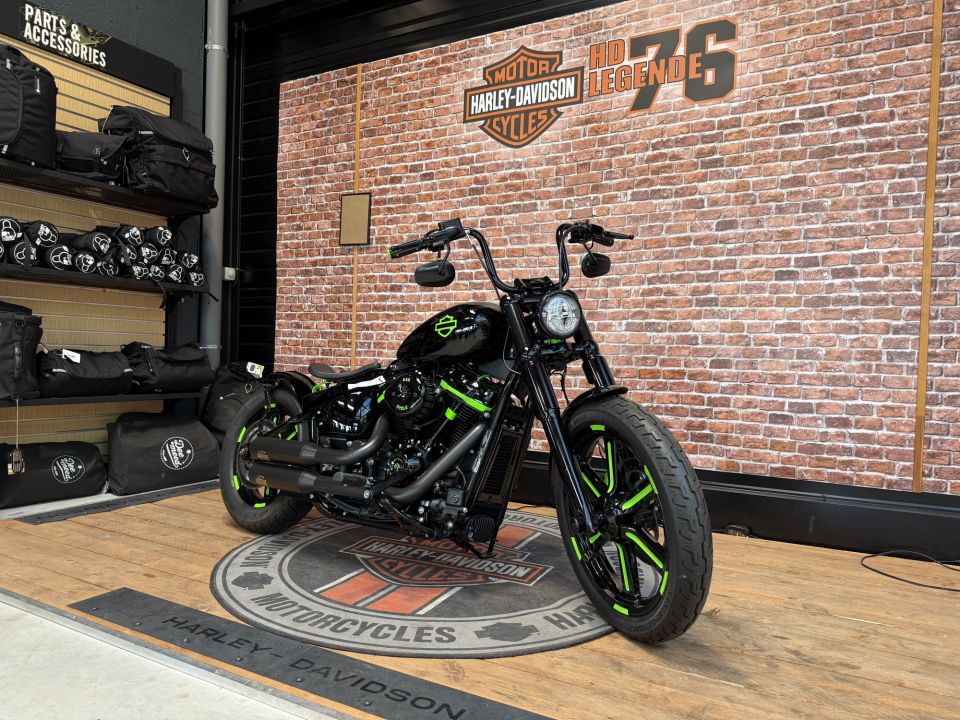 HARLEY-DAVIDSON SOFTAIL STANDARD 1745 4