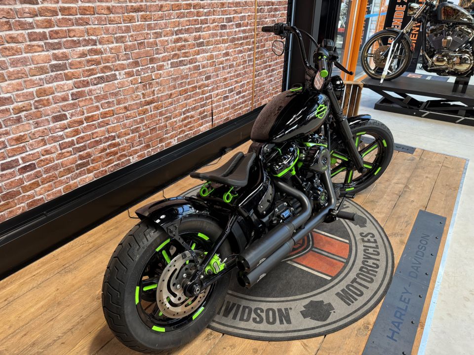 HARLEY-DAVIDSON SOFTAIL STANDARD 1745 4