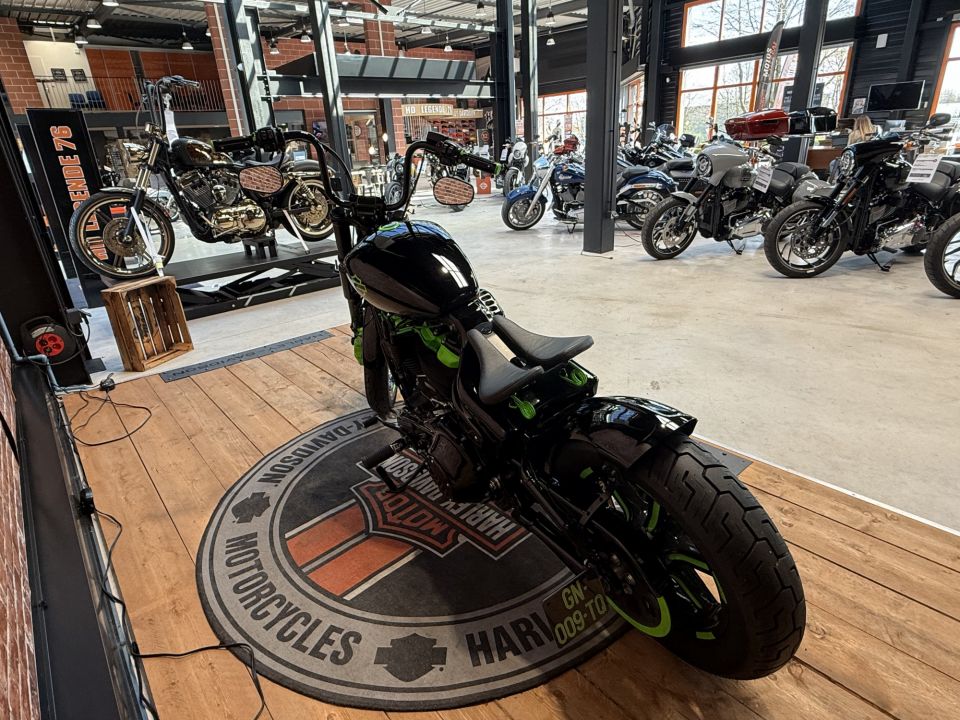 HARLEY-DAVIDSON SOFTAIL STANDARD 1745 4