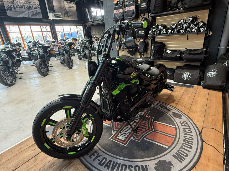 HARLEY-DAVIDSON SOFTAIL STANDARD 1745 4