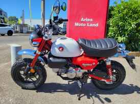 HONDA ZB MONKEY - 2025