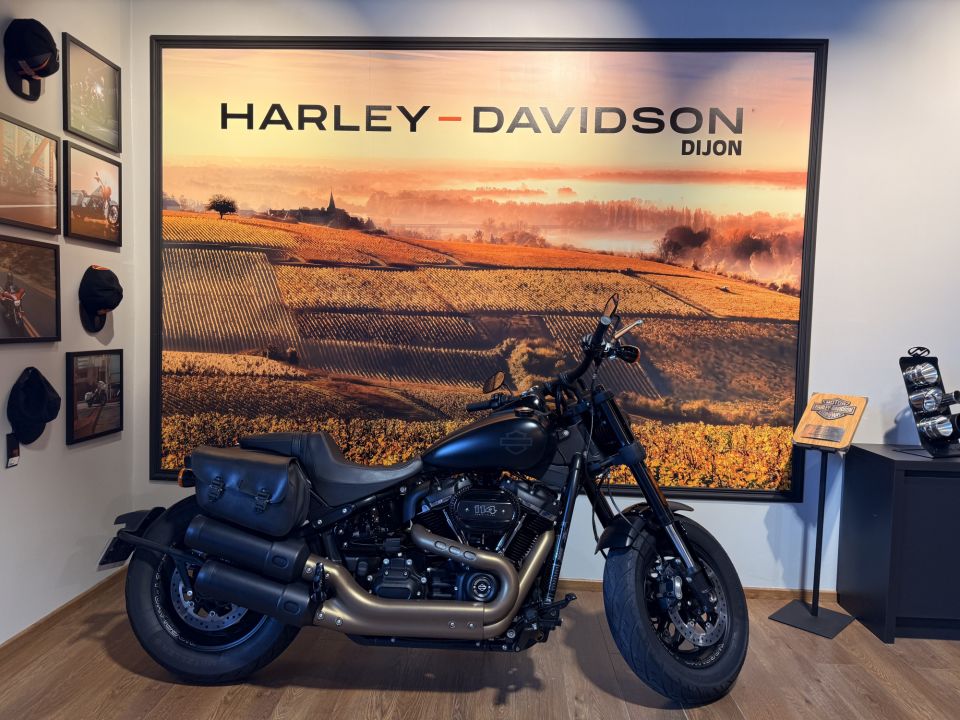 HARLEY-DAVIDSON SOFTAIL FAT BOB 1868 4