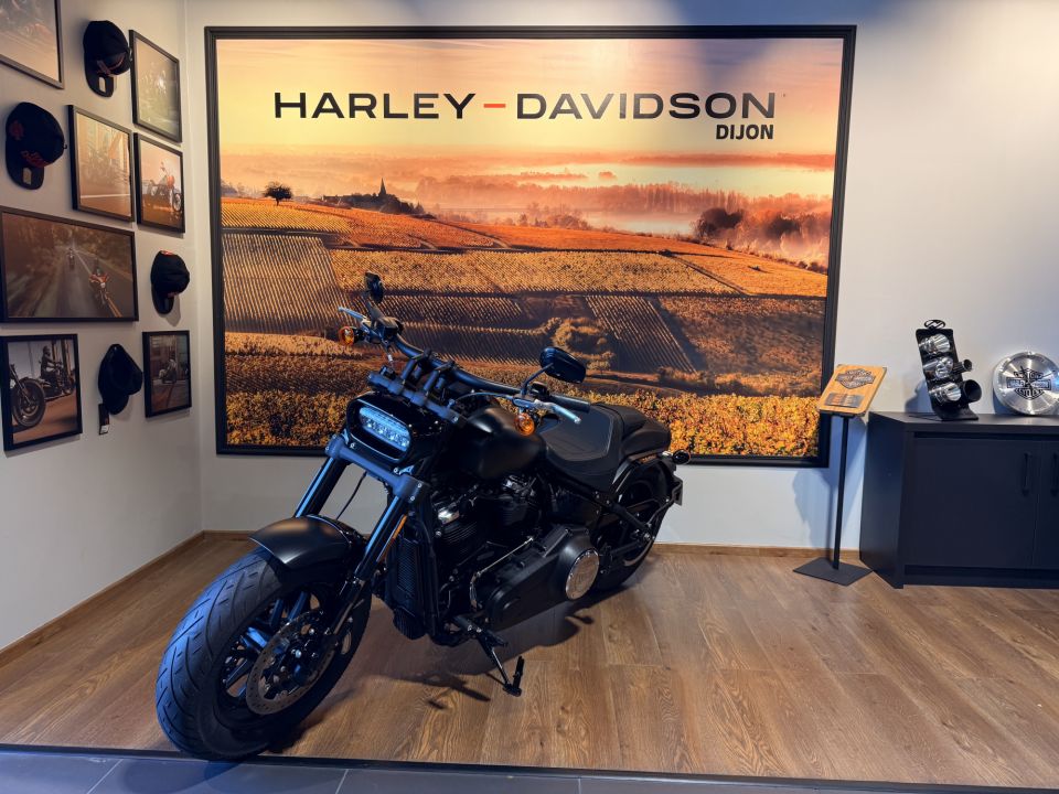 HARLEY-DAVIDSON SOFTAIL FAT BOB 1868 4