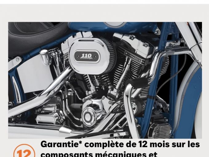 HARLEY-DAVIDSON SOFTAIL BREAKOUT 1923 4