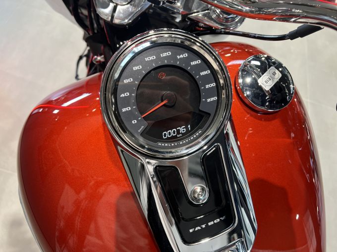 HARLEY-DAVIDSON SOFTAIL FAT BOY 1870 4