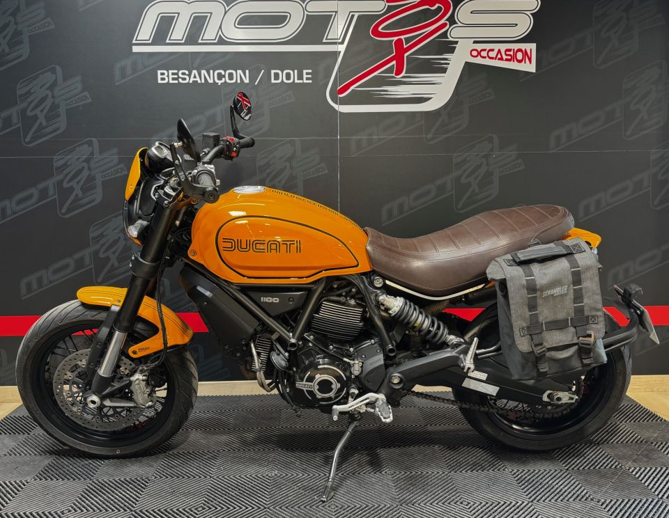 DUCATI SCRAMBLER 1100 TRIBUTE PRO 4