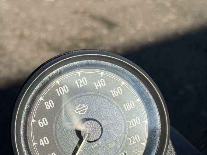 HARLEY-DAVIDSON SPORTSTER IRON 883 4