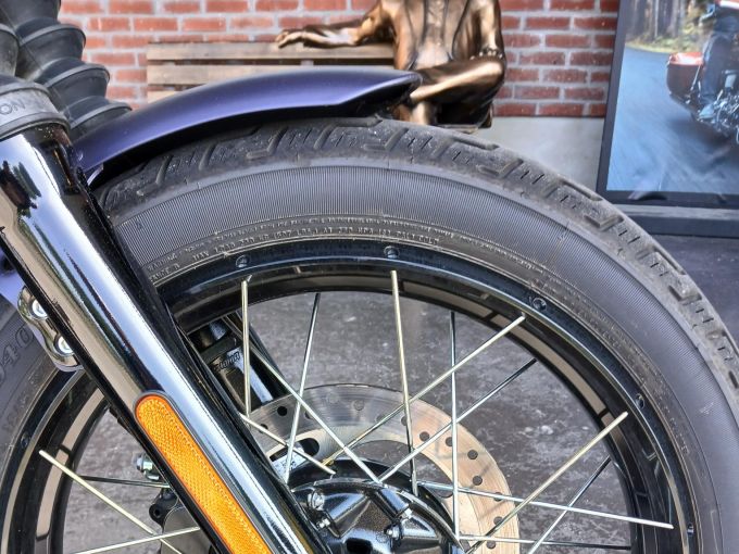 HARLEY-DAVIDSON SOFTAIL STREET BOB 117 4