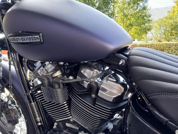 HARLEY-DAVIDSON SOFTAIL STREET BOB 117 4