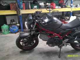 SUZUKI SV 650 X - 2020