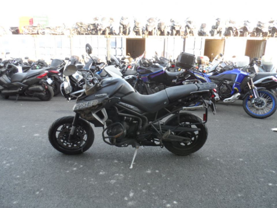 TRIUMPH TIGER 800 XRT 4