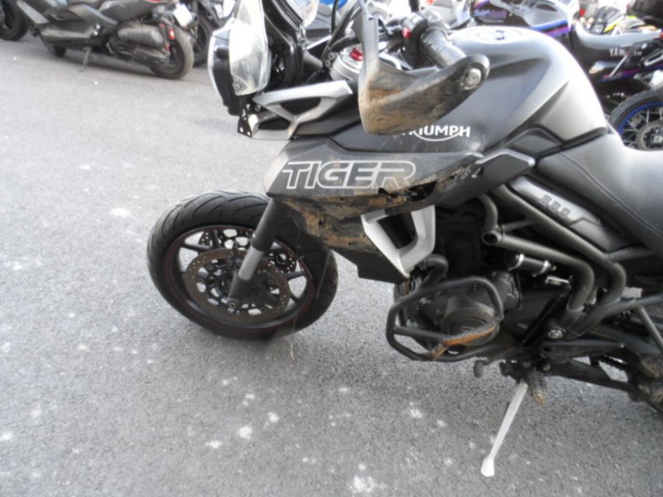TRIUMPH TIGER 800 XRT 4