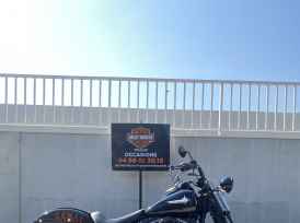 HARLEY-DAVIDSON SOFTAIL SPRINGER 1584 CROSS BONES - 2009